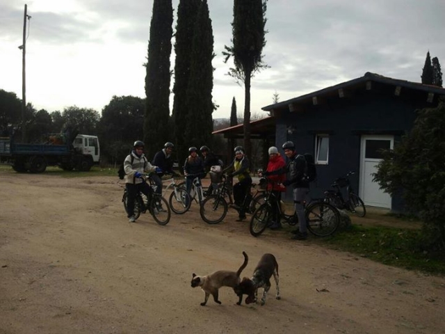  Noleggio bici a Barcellona 